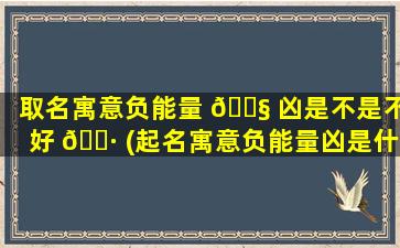 取名寓意负能量 🐧 凶是不是不好 🌷 (起名寓意负能量凶是什么意思)